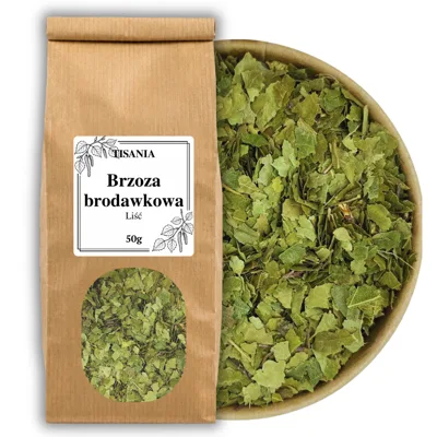 Brzoza brodawkowa liść suszony