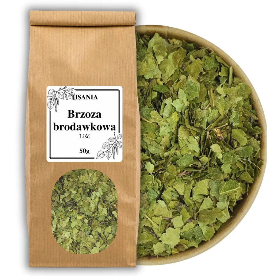 Brzoza brodawkowa liść suszony