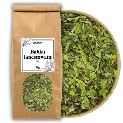 Babka lancetowata liść suszony na napar